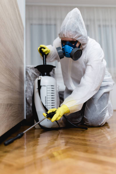 Emergency Pest Control Services in Knik Fairview, AK